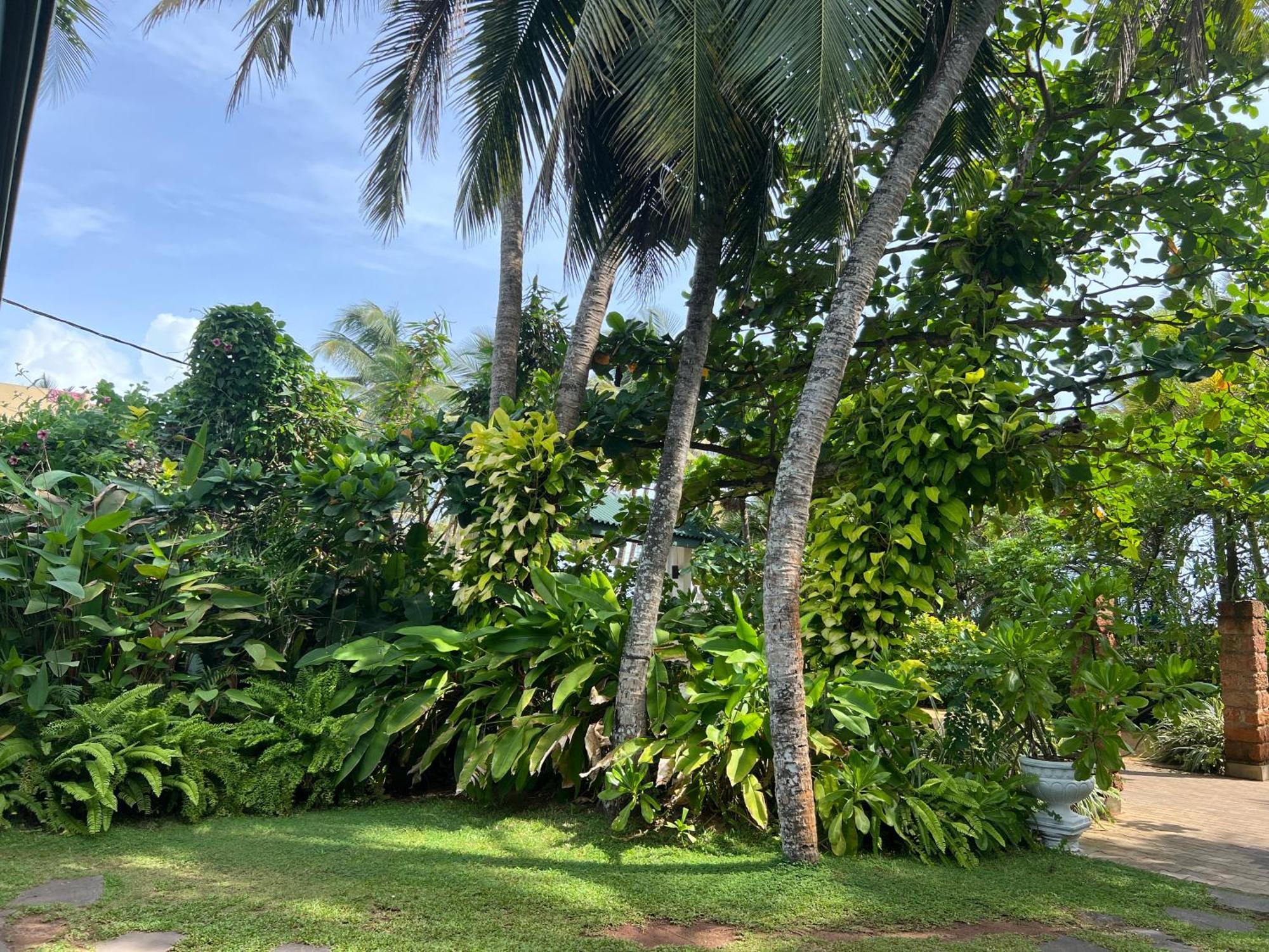 Lohas Beach Resort Villa Kalutara Zewnętrze zdjęcie