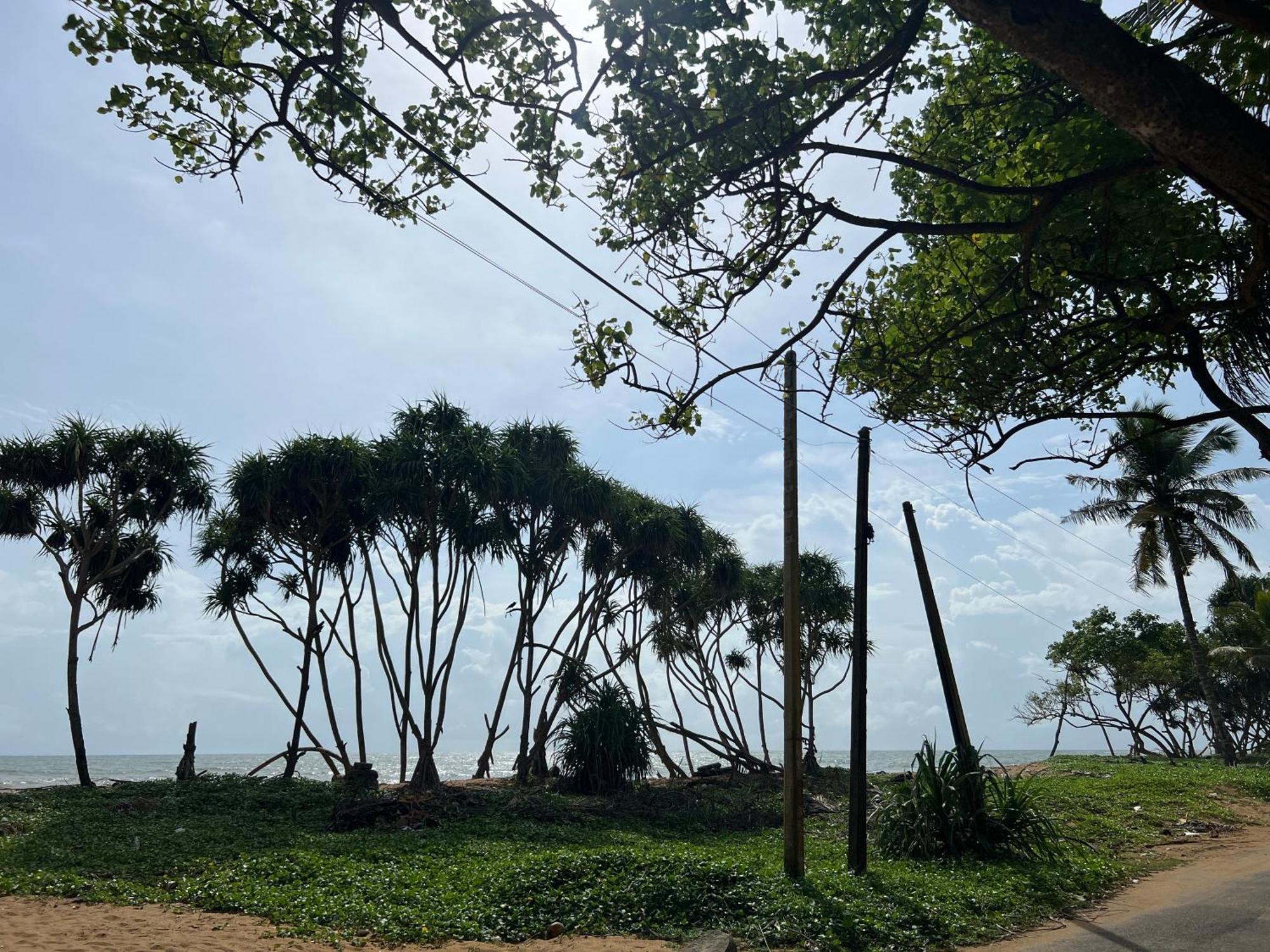 Lohas Beach Resort Villa Kalutara Zewnętrze zdjęcie